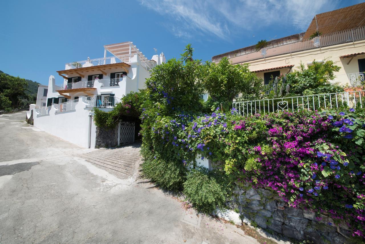 Hotel Giardino Delle Ninfe E La Fenice Ischia Exterior photo